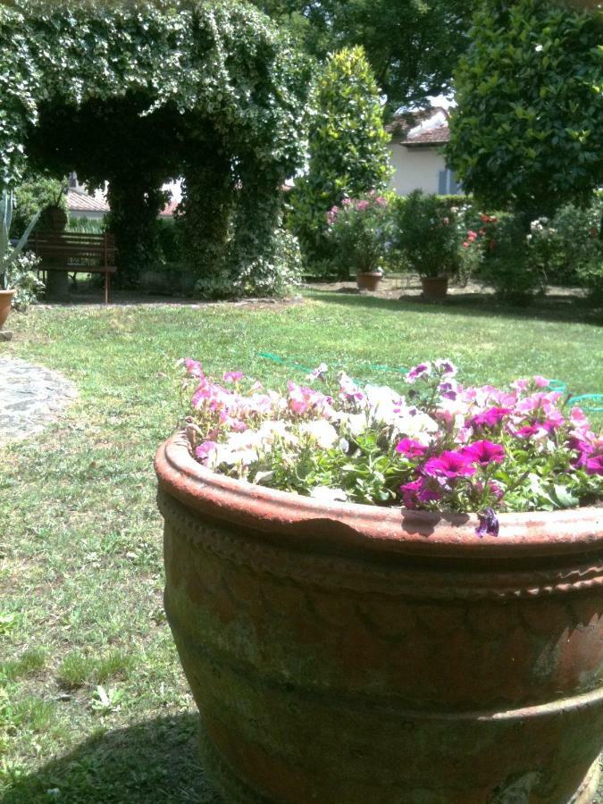 Alle Vecchie Mura Pistoia Exteriér fotografie