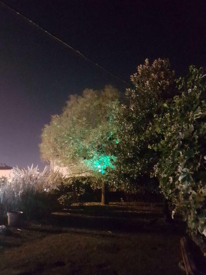 Alle Vecchie Mura Pistoia Exteriér fotografie